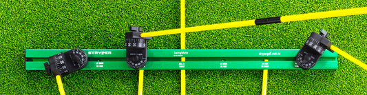 Swing training with multiple alignment rods